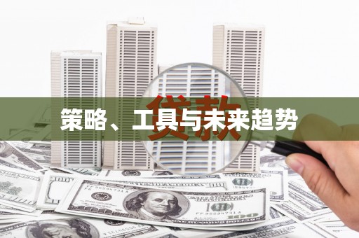 芮城策略、工具与未来趋势
