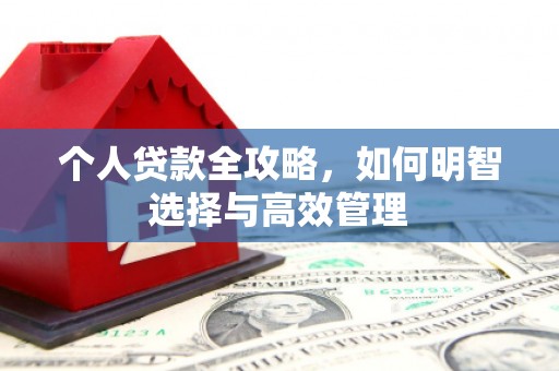 芮城个人贷款全攻略，如何明智选择与高效管理
