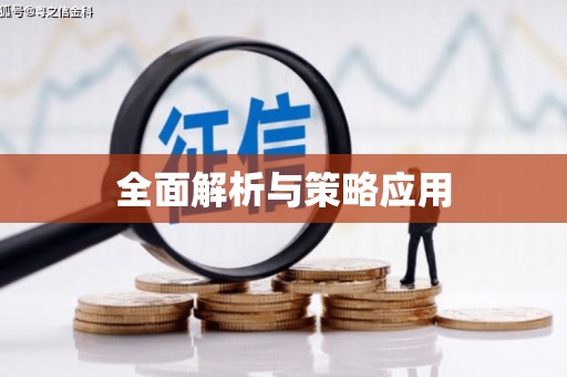 芮城全面解析与策略应用